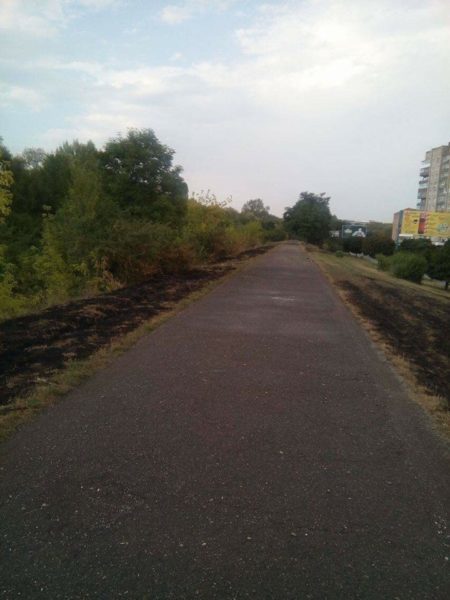 У п’ятницю в області горіли сміття та трава