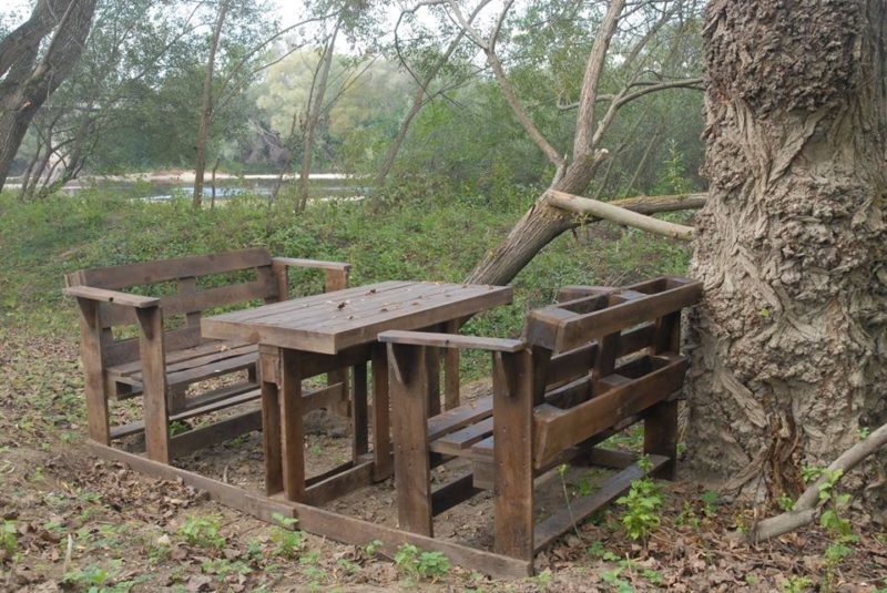 У Галицькому природному парку облаштували відпочинкову зону та наметове містечко (ФОТО)