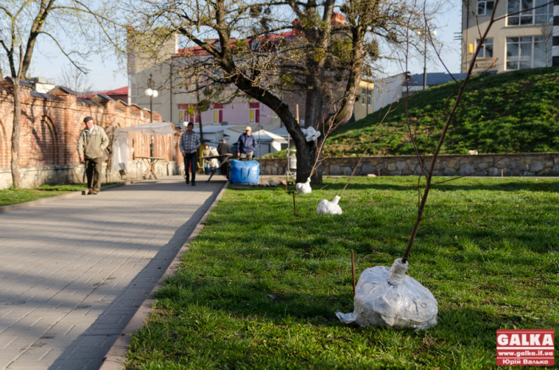 Під час толоки Марцінків садитиме дерева, а підлеглі прибиратимуть зелені зони