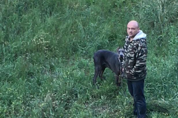 Стало відомо, як покарали коломиянина, який знущався над собакою