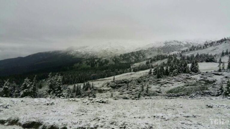 Рятувальники розшукали 5 туристів, що заблукали на Піп Івані