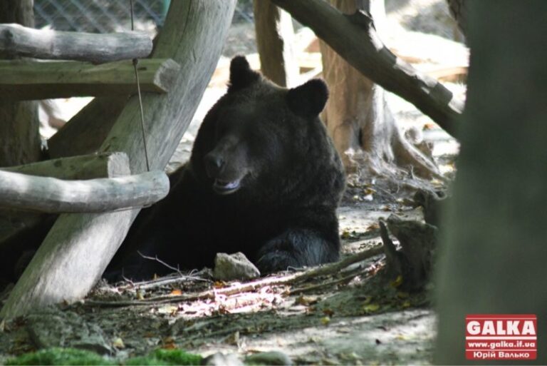 Галицький нацпарк запрошує переселенців на безкоштовні екскурсії