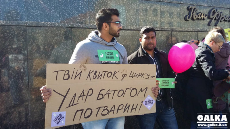 Франківців кличуть на акцію за цирк без тварин