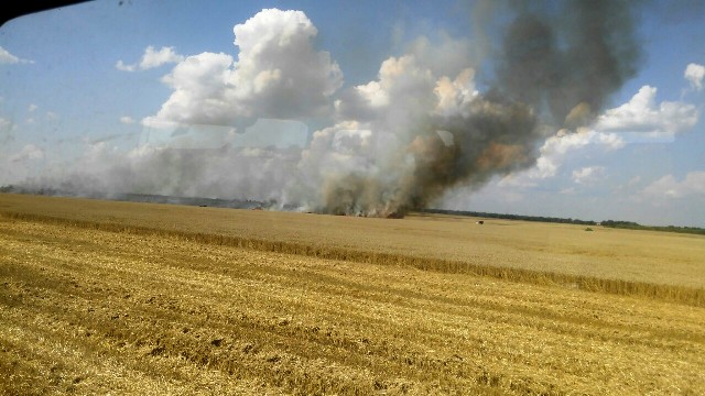 Близько 460 га сільськогосподарської землі вже передали в КП “Франківськ Агро”
