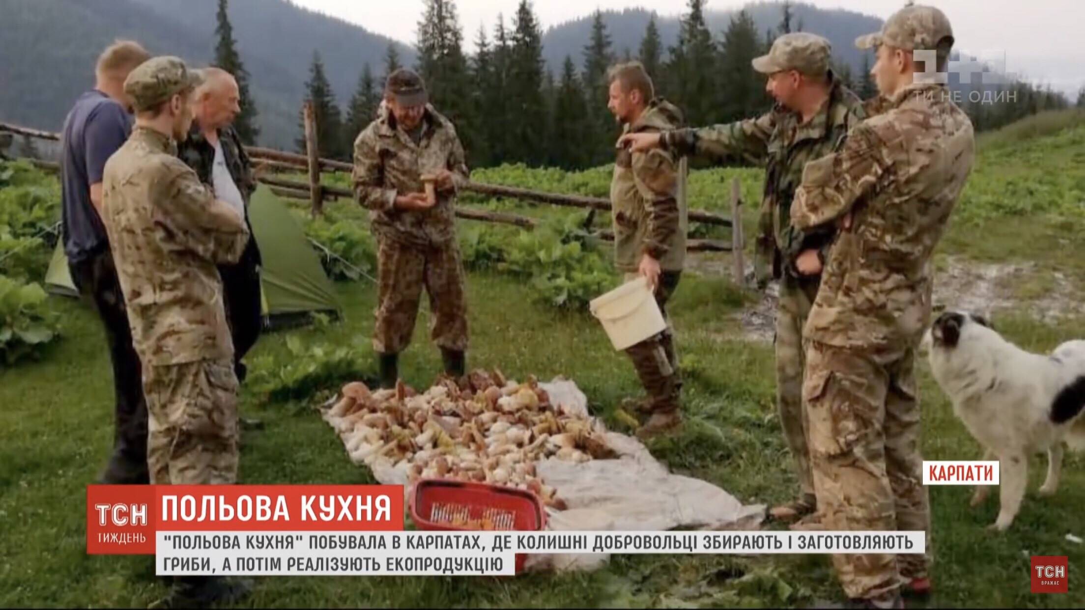 Грибна рота: як ветерани АТО проходять реабілітацію у Карпатах (ФОТО, ВІДЕО)