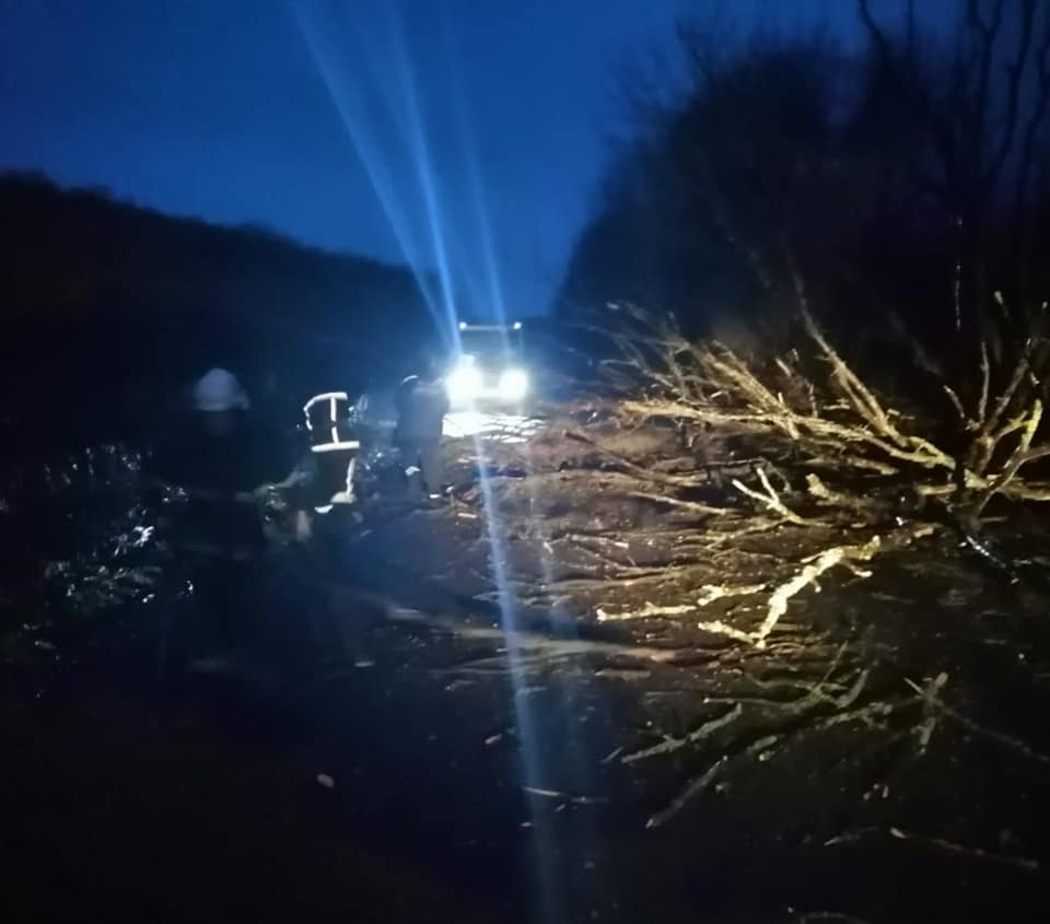 У Хом’яківці дерево впало на автобус з пасажирами, є травмований (ФОТОФАКТ)