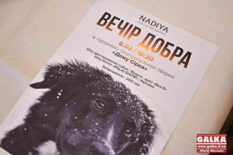 Для порятунку безпритульних собак у Франківську проведуть благодійний вечір (ФОТО)