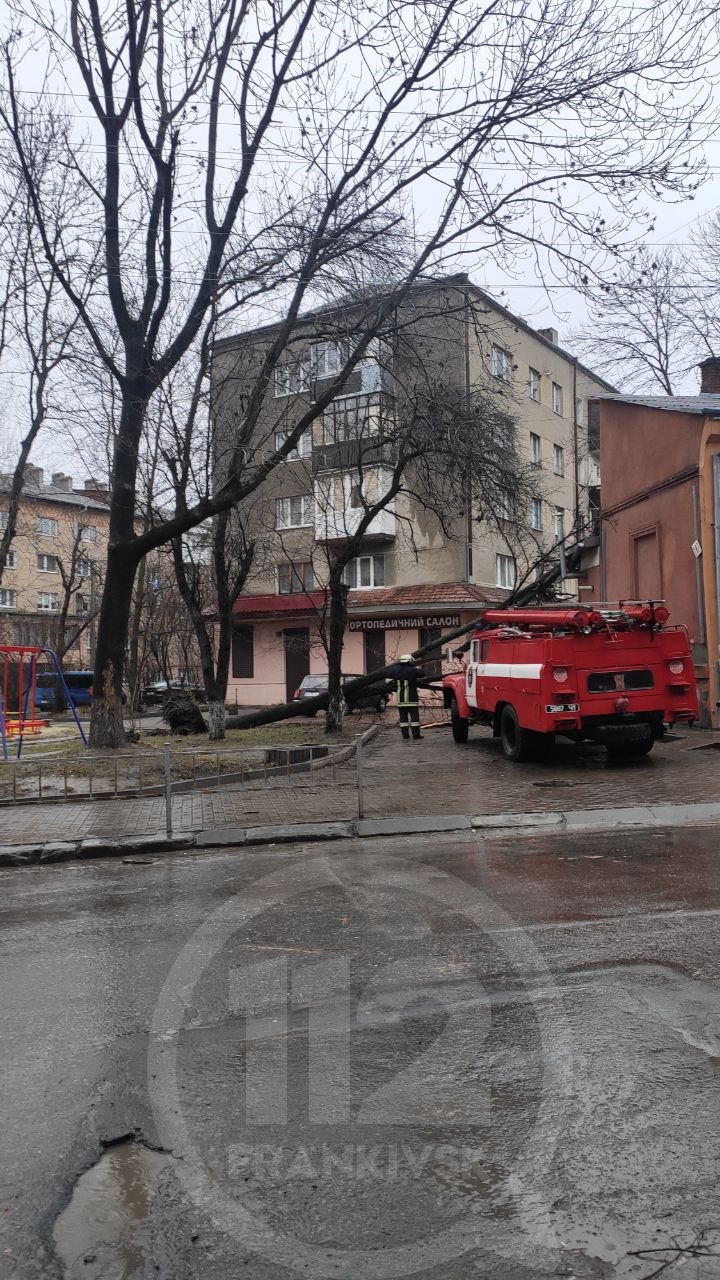 Негода у Франківську: вітер повалив дерева та зірвав дахи (ФОТО, ОНОВЛЕНО)