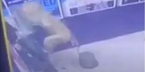 В Індії зламали банкомат і втекли. Виявилося, що це зробила мавпа (ВІДЕО)