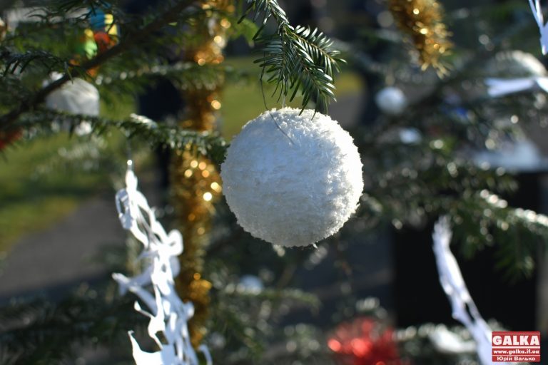 Рятувальники Прикарпаття розповіли, як безпечно встановити ялинку (ФОТО, ВІДЕО)