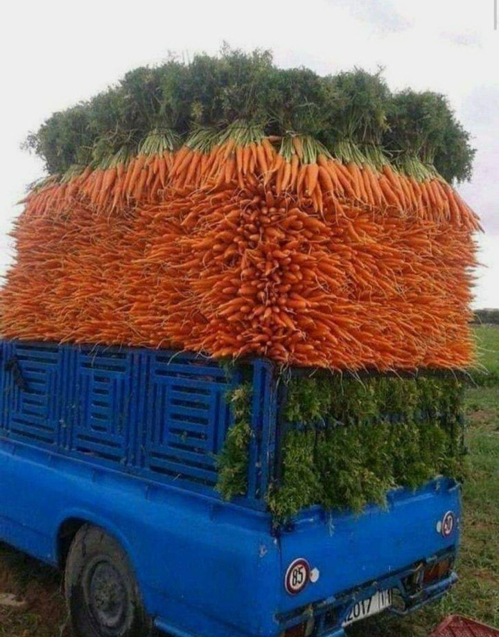 Коли за справу береться перфекціоніст: 11 фото, якими замилуєтесь