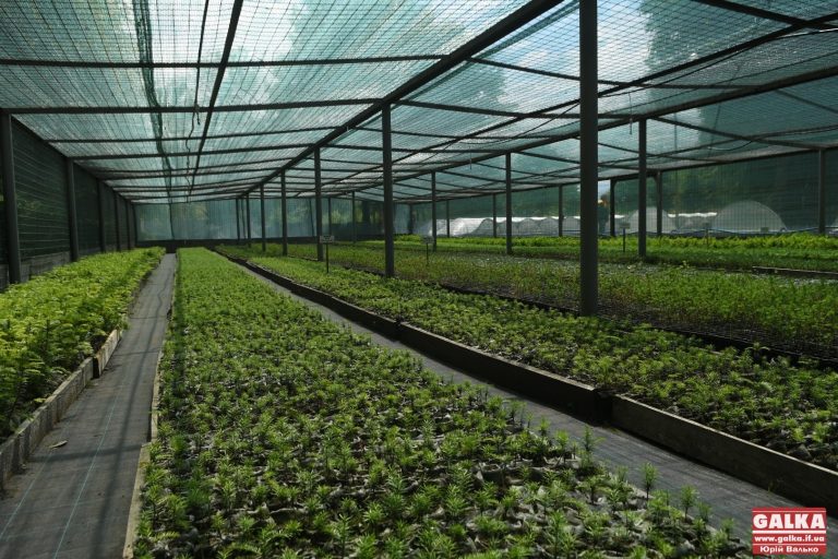 “Франківськ Агро” планує побудувати теплиці в Радчі