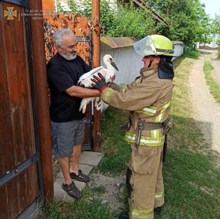 На Коломийщині рятувальники повернули лелеченя до гнізда (ФОТО)
