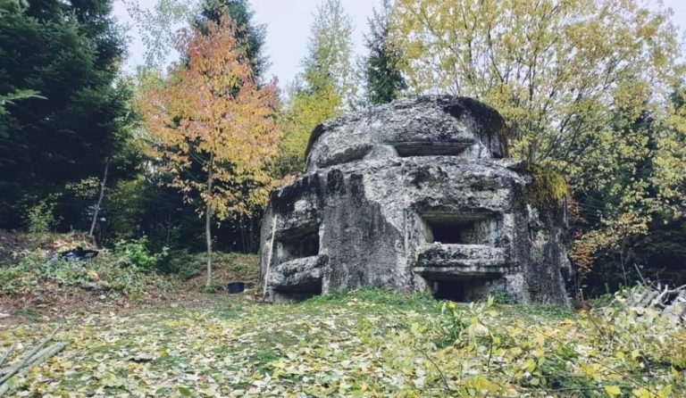 Франківські студенти розчистили територію біля однієї з оборонних точок часів Першої світової (ФОТО)