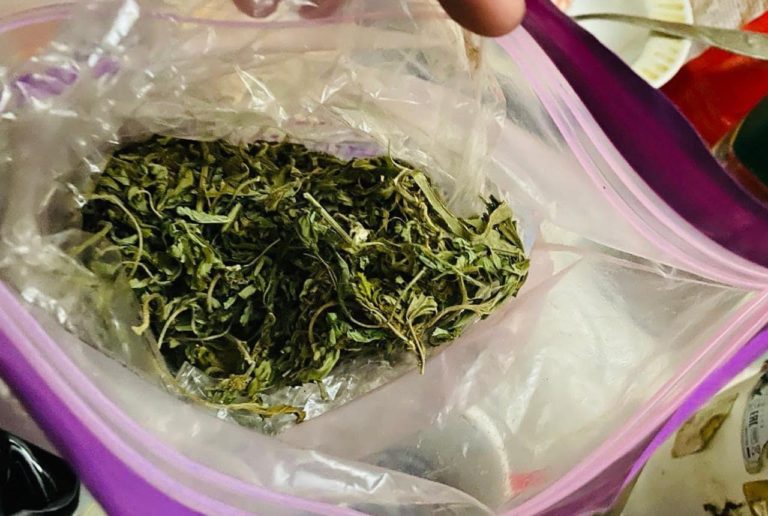 Трава, атмфетамін, гроші: На Прикарпатті правоохоронці викрили групу осіб, яка причетна до наркозлочинів