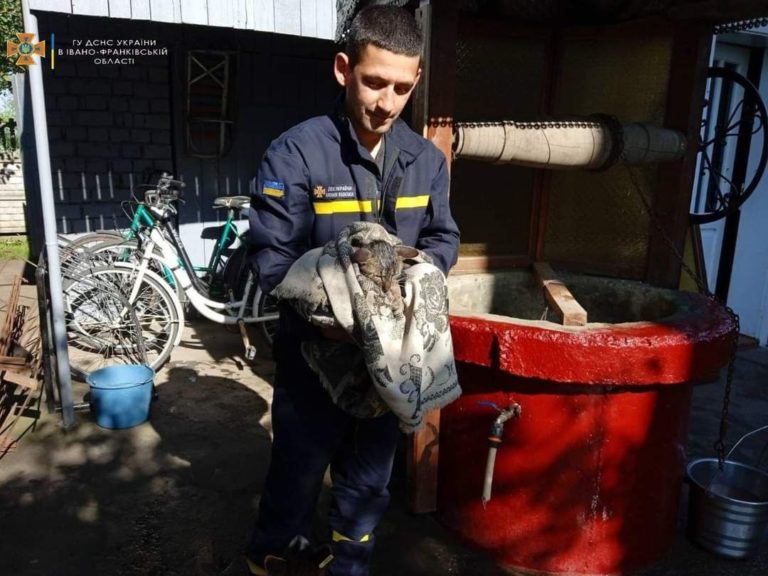 На Прикарпатті надзвичайники врятували котика, який впав у колодязь (ФОТО)