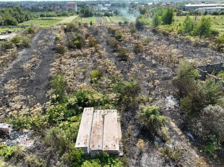 Прикарпатці продовжують палити траву, за сьогодні пожежники гасили 15 пожеж (ФОТО) 