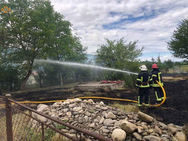 За сьогодні прикарпатські вогнеборці дев’ять разів ліквідовували пожежі сухої трави