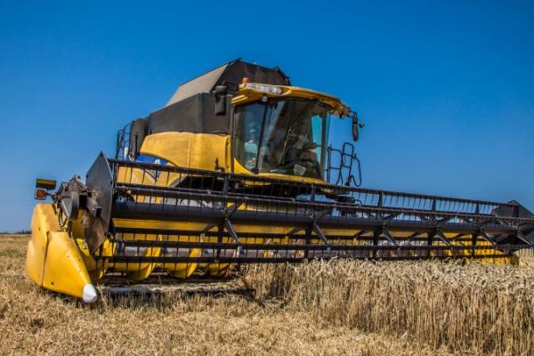 На Прикарпатті стартували жнива – раніше, ніж у попередні роки 