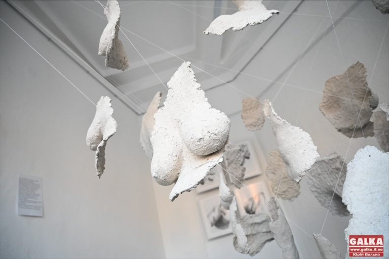 “Наше тіло – це наш дім”: київська мисткиня Євгенія Григор’ян відкрила виставку в Івано-Франківську (ФОТО)