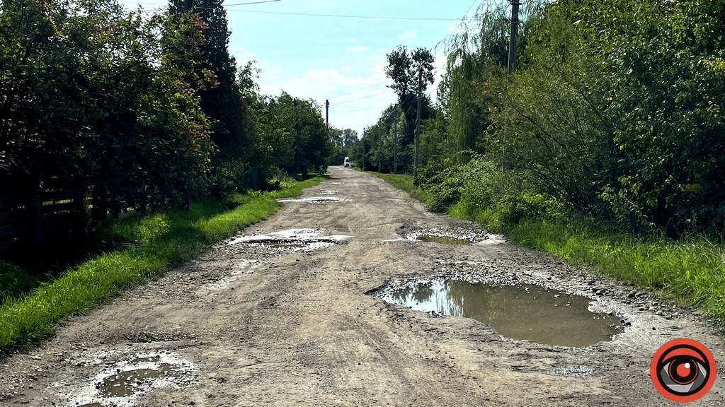 Коломия за понад 17 млн грн хоче відремонтувати вулицю Едельвейсів