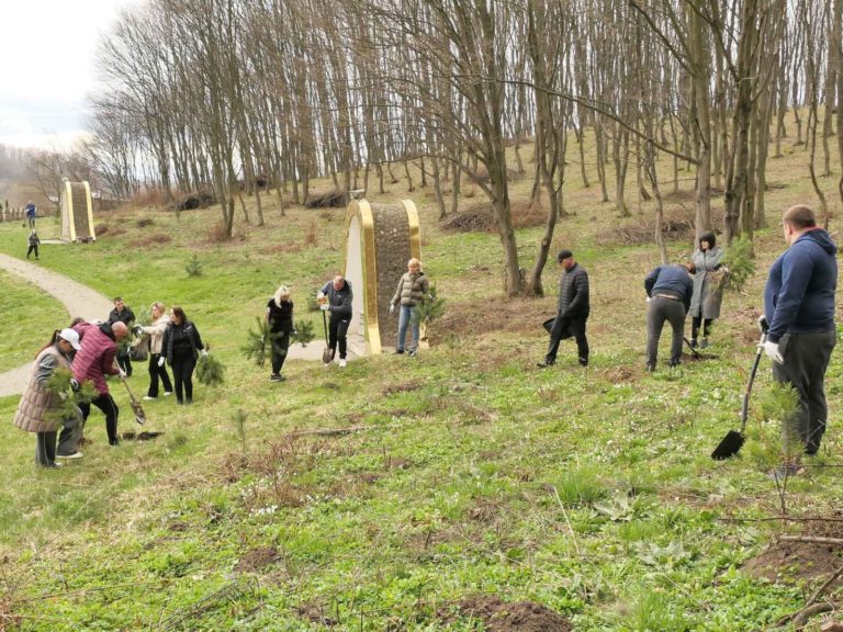 Поблизу монастиря у Погоні висадили триста сосен (ФОТО)