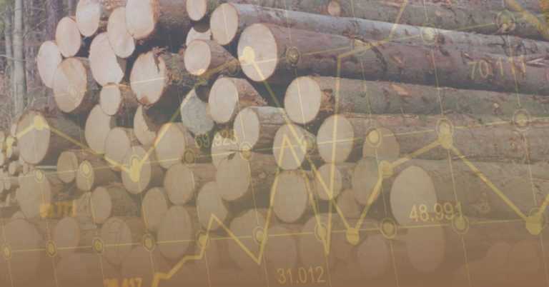 Деревообробники Прикарпаття підтримують вдосконалення організації біржової торгівлі