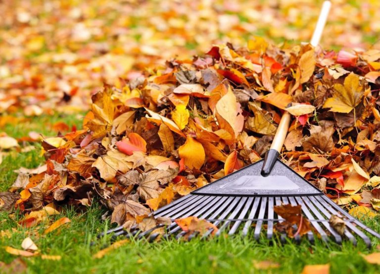 Коломиян кличуть на осінню толоку