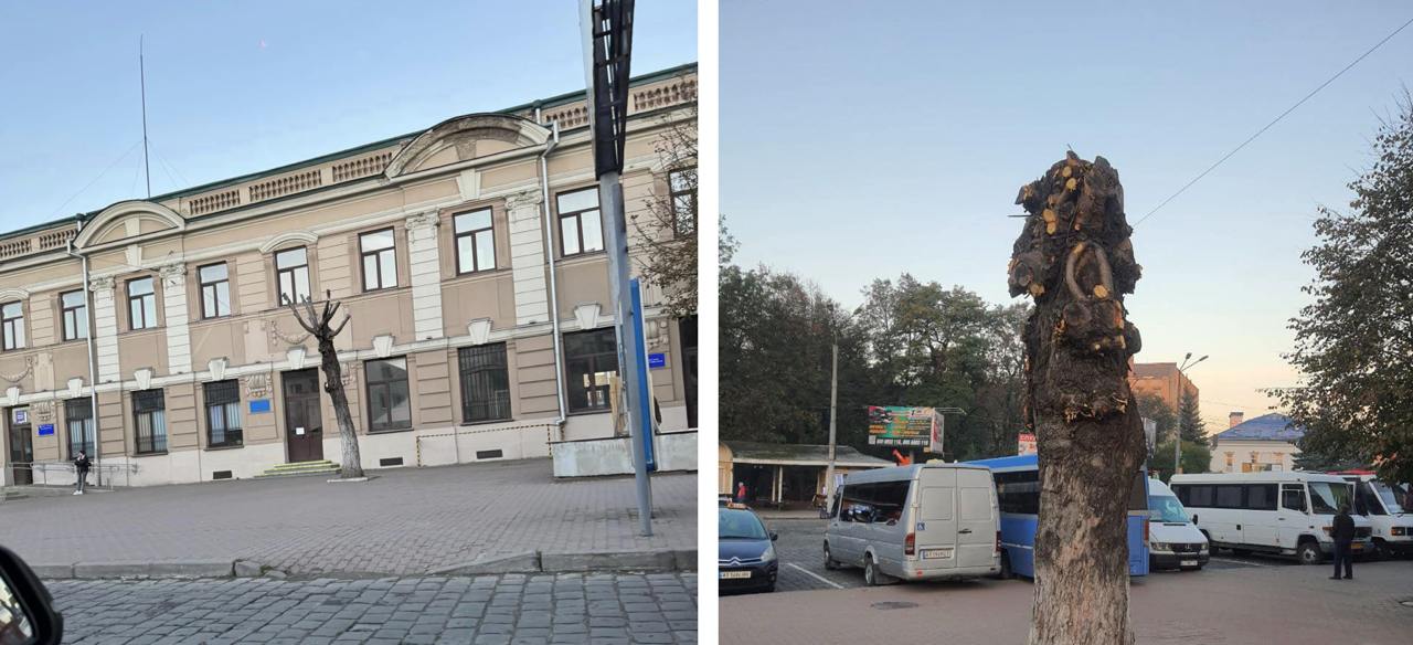 Для безпеки пасажирів: в Укрзалізниці відповіли, чому порізали гілки дерев на Привокзальній площі