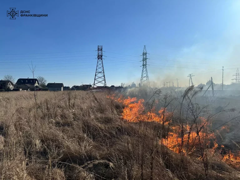 400 метрів квадратних: на Калущині палала суха трава (ФОТО)