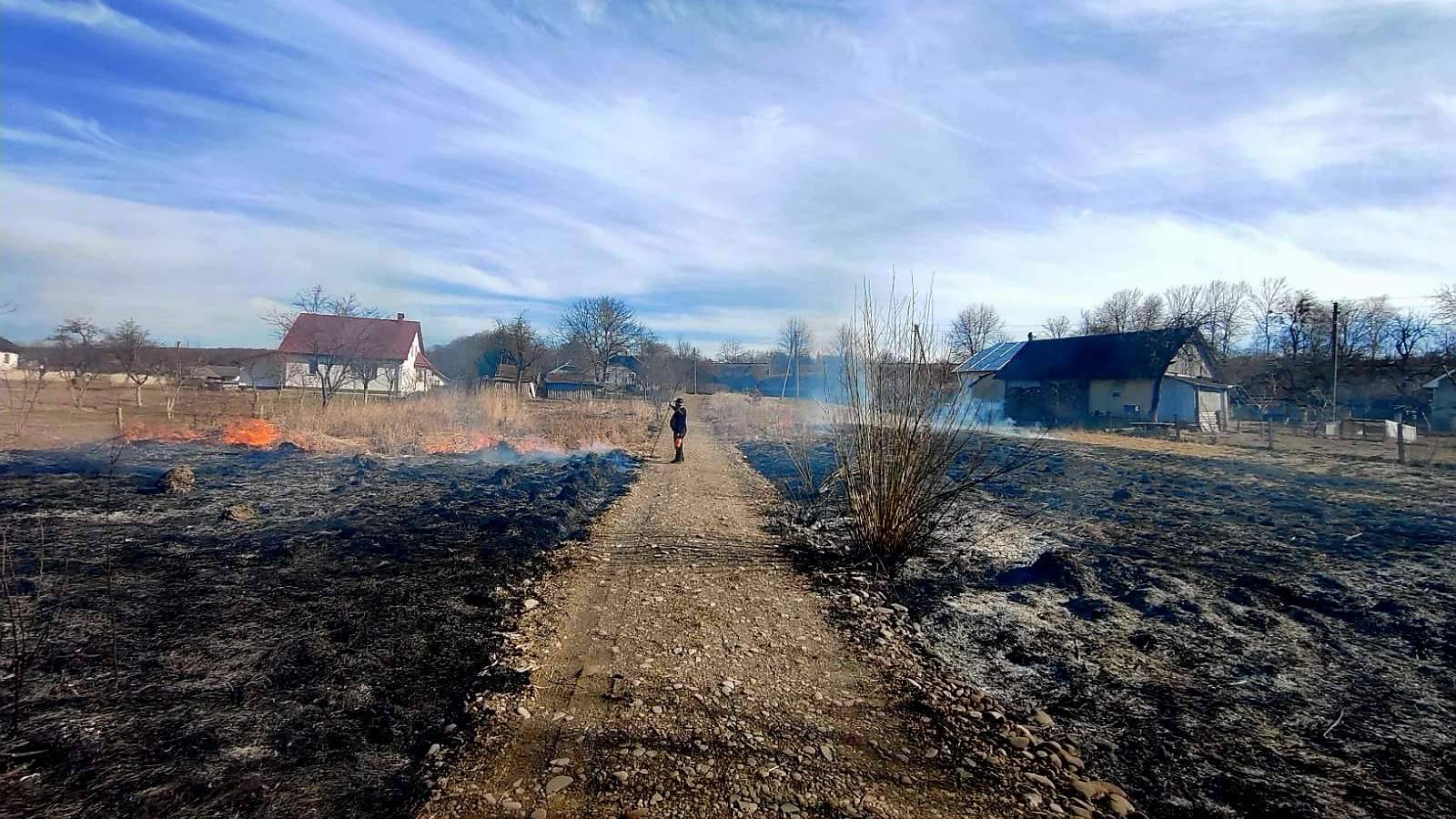 На Калущині на пожежі сухої трави вогонь ледь не дістався житлових будинків (ФОТО)