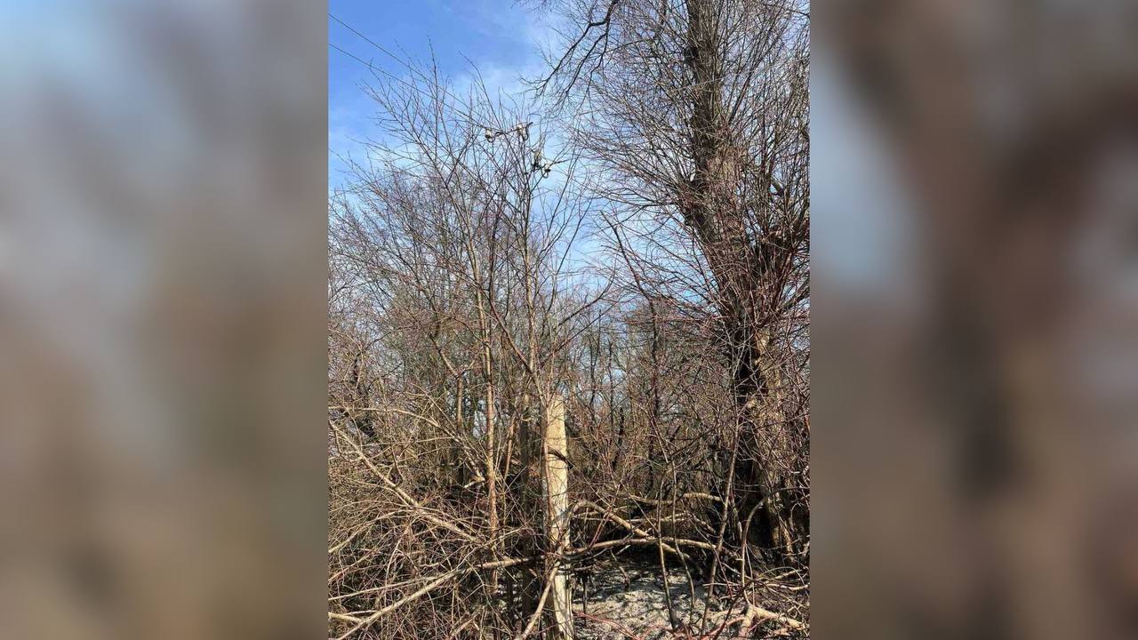 На Прикарпатті через підпал трави згоріла електроопора (ФОТО З МІСЦЯ)