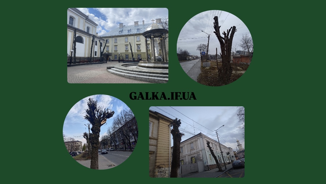 Тіні, яких більше немає: як обрізають дерева в Івано-Франківську і чому це має змінитися (ФОТО, ДОКУМЕНТИ)