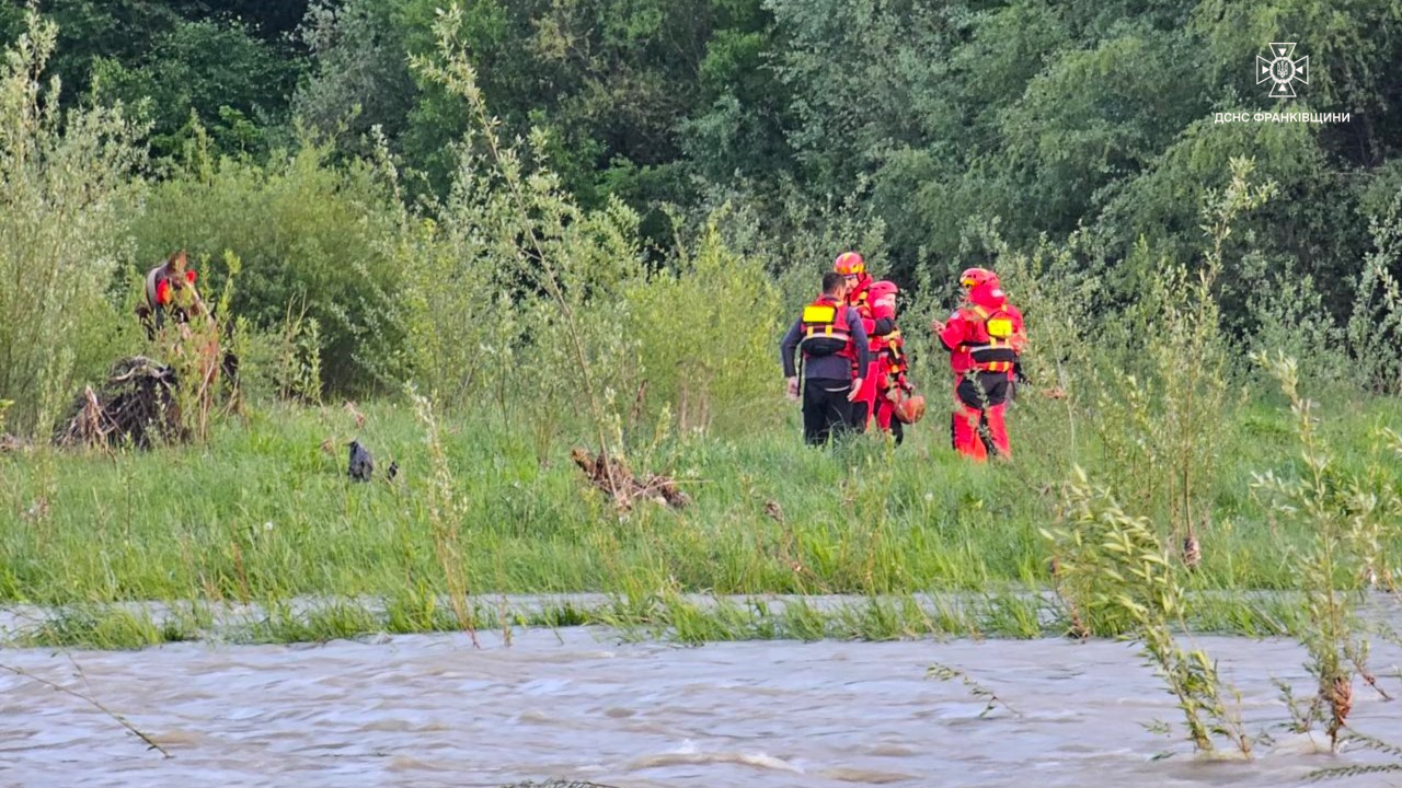На Надвірнянщині чоловік із конем застряг на острівці посеред річки (ФОТО, ВІДЕО)