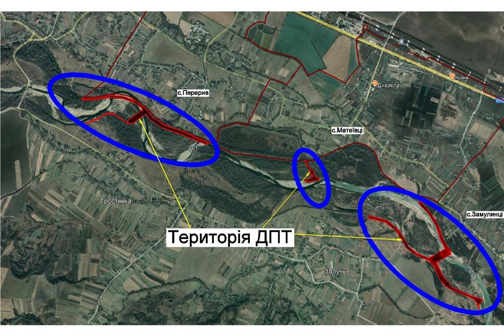 На Прикарпатті на річці Прут планують збудувати каскад ГЕС: екологи розповіли про ризики