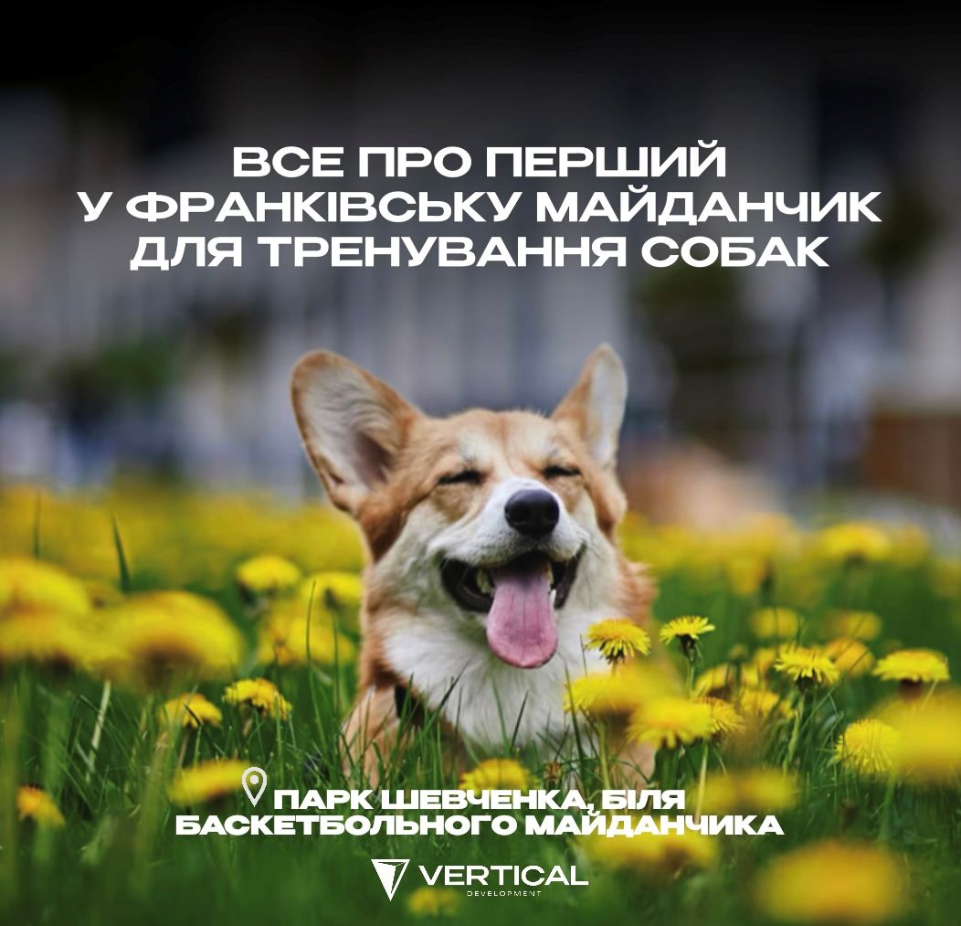 Перший у Франківську: як Vertical реалізувала тренувальний майданчик для собак у парку Шевченка