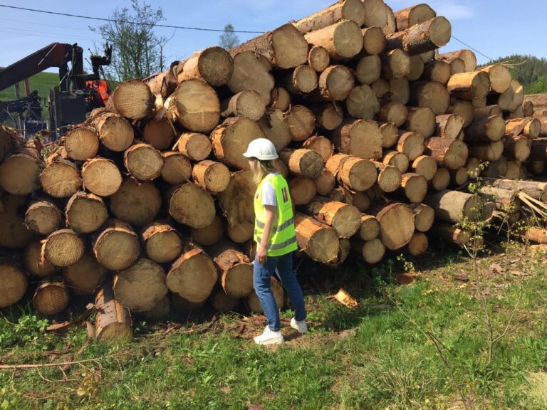 Контроль відвантаження деревини – важливий етап постторгового сервісу Української енергетичної біржі