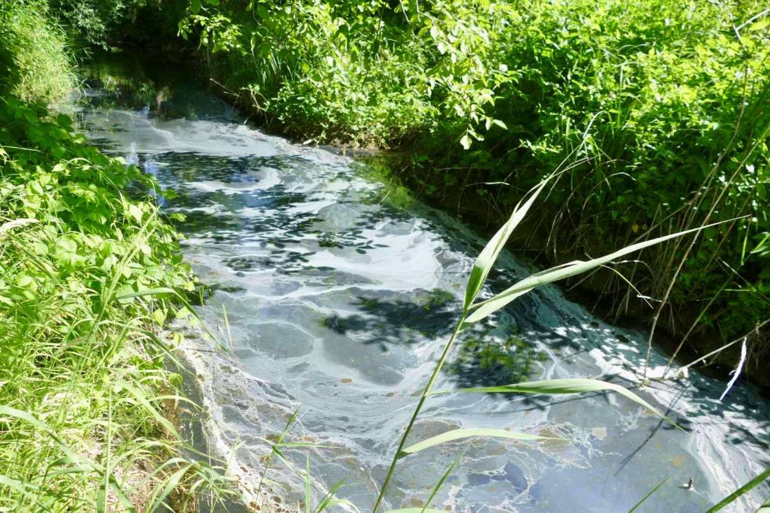 Витік із підприємства: у Калуші встановили одне з джерел забруднення річки Сівки