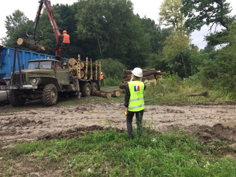 Контроль відвантаження реалізованої необробленої деревини покупцеві входить у завдання УЕБ