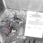 У Тлумачі мешканці скаржаться на масові отруєння собак: що каже влада та поліція (ФОТО 18+, ДОКУМЕНТИ)