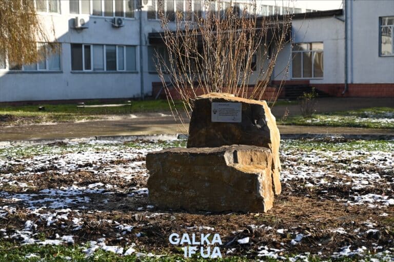 Вшанувати полеглих воїнів: франківський університет створив проєкт “Деканат пам’яті і слави” (ФОТО)