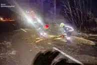 Сильний вітер повалив дерева у кількох районах Прикарпаття: на місці працювали рятувальники (ФОТО)