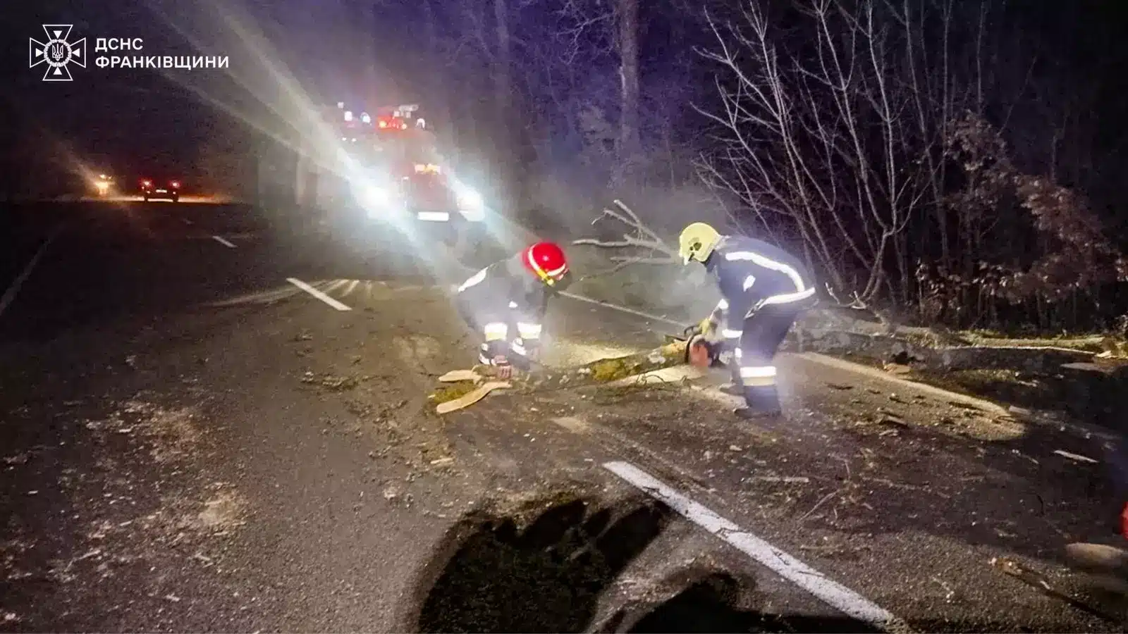 Сильний вітер повалив дерева у кількох районах Прикарпаття: на місці працювали рятувальники (ФОТО)